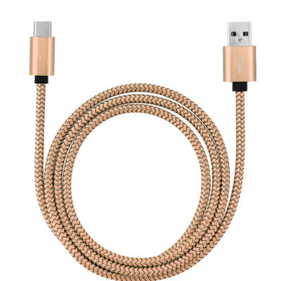 1M USB 3.1 Type C Strong Dragon Pattern Braided Charging Cable Cord – Golden